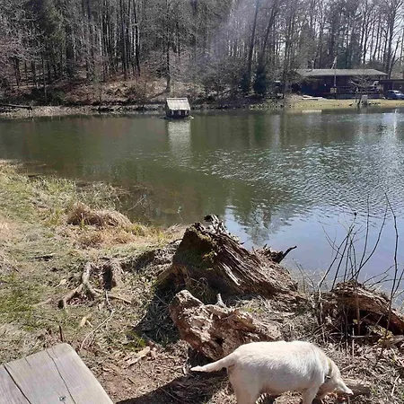 Rhoen-thal Апартаменты