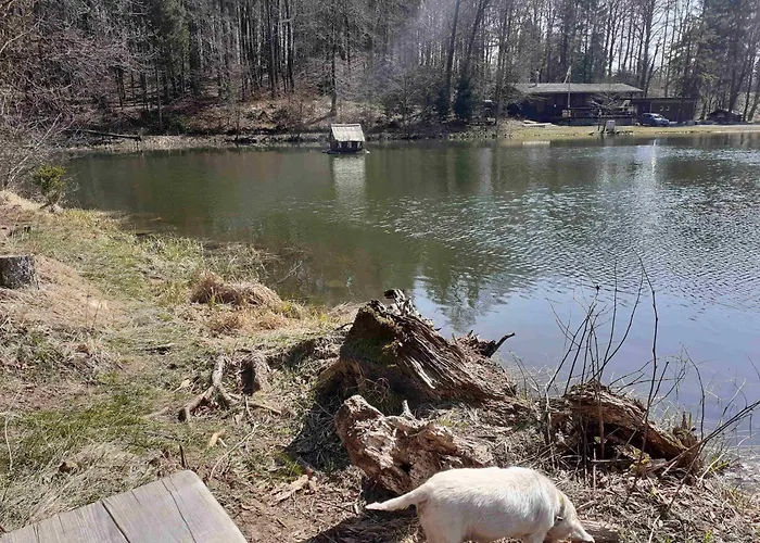 Rhoen-thal Апартаменты